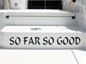Bali 4.0 „SO FAR SO GOOD“ – fotka 26