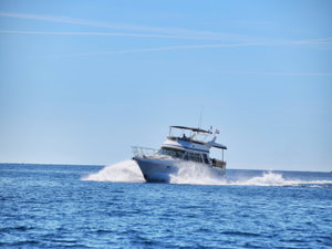 Yaretti 1570 „Grazia“ – fotka 7