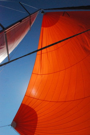 Hanse 508 „Planaria“ – fotka 6