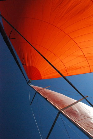 Hanse 508 „Planaria“ – fotka 10