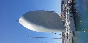 Sun Odyssey 519 „In A Silent Way“ – fotka 16