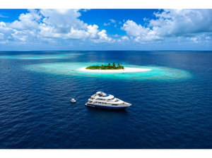 Motoryacht „M/Y Honors Legacy“ – fotka 1