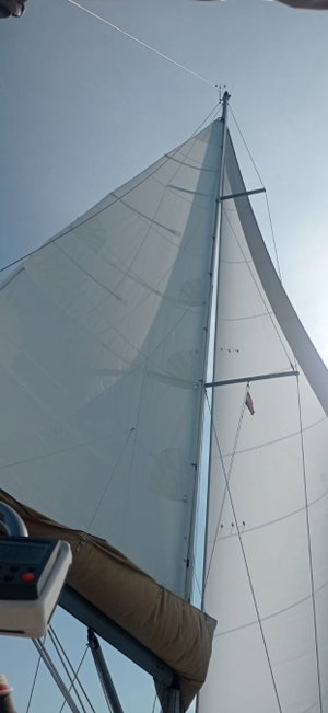 Dufour 36