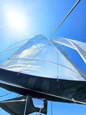 Lagoon 450  Flybridge