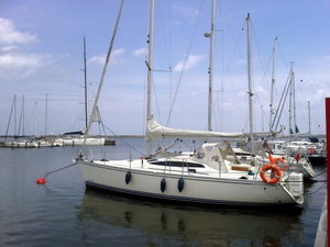 Delphia 40.3 „Madera“ – fotka 2