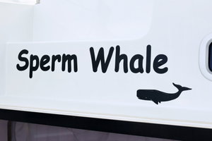Lagoon 42 „SPERM WHALE“ – fotka 78