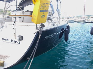 Elan 344 Impression „Sea Bird“ – fotka 9