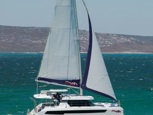 Leopard 42 – fotka 5