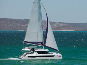Leopard 42 – fotka 1