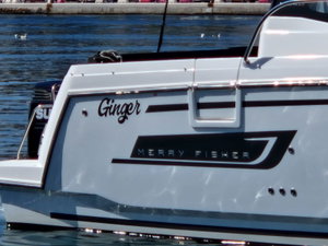 Merry Fisher 1095 „Ginger“ – fotka 10