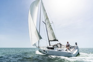 Pogo 36 „SHOULD I GO“ – fotka 6