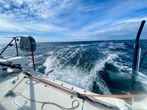 Pogo 36 „SILVER WAVE“ – fotka 7