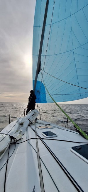 Pogo 36 „SILVER WAVE“ – fotka 13