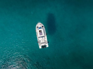 Barracuda 8 „Whisper“ – fotka 7