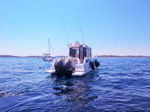 Barracuda 8 „Whisper“ – fotka 39