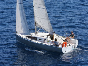 Django 770 „Telika“ – fotka 1