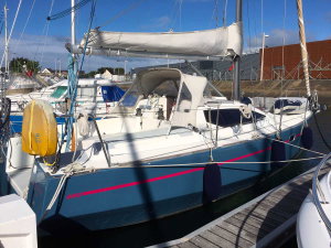 RM 890 „Little Wing“ – fotka 1