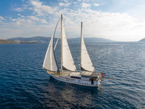 Custom built 183 „LUCKY YOU“ – fotka 1