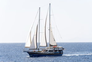 Custom built 183 „GOZDEM THE ONE“ – fotka 3