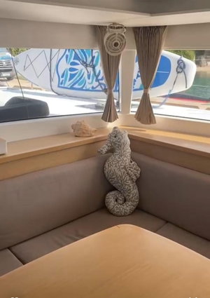 Lagoon 450 Flybridge „MARTINA TRES“ – fotka 10
