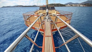 Custom built 183 „DRAGON FLY“ – fotka 5