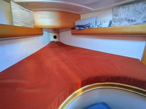Maxus 28 Standard „Grand Patience“ – fotka 13