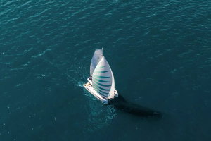 Lagoon 43 „Flow“ – fotka 13