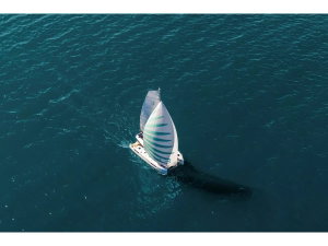 Lagoon 43 „Flow“ – fotka 1