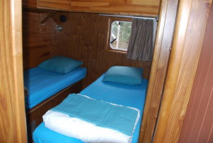 America 50 „2504“ – fotka 13
