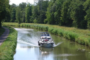 Gruno 38 Royal „2501“ – fotka 5