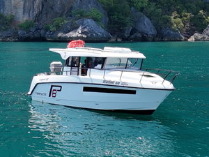 Finnmaster Pilot 8 „Finnmaster“ – fotka 6