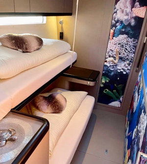 Jeanneau 57 „CHAMPAGNE“ – fotka 5