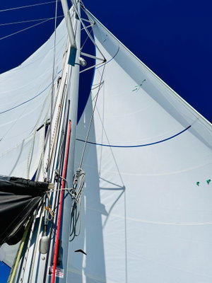 Lagoon 450 S „Belle“ – fotka 3