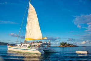 Mojito 78 „Le Gauguin“ – fotka 16