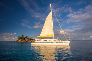 Mojito 78 „Le Gauguin“ – fotka 15