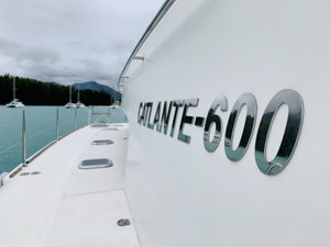 Catlante 600 „Iris“ – fotka 11
