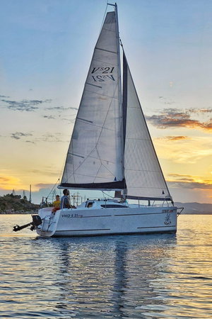 Viko S 21