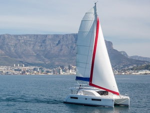 Leopard 40 – fotka 1