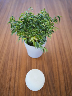 Sunreef 70 Eco „MIDORI“ – fotka 65