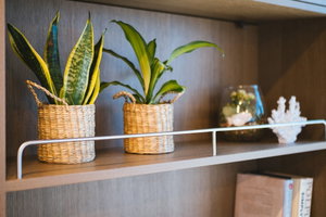 Sunreef 70 Eco „MIDORI“ – fotka 41