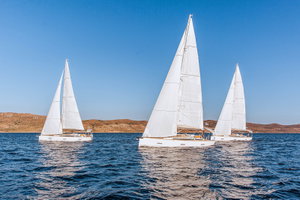 X4-6 „Athena“ – fotka 12