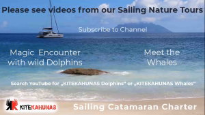 Leopard 48 „JAUDANIC III“ – fotka 54
