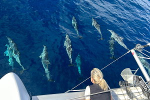 Lagoon 42 „Lorelei“ – fotka 30