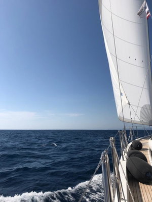 Oceanis Yacht 54 „White Bird“ – fotka 10