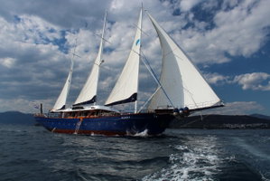 Barba – fotka 4