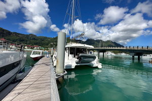 Bali Catspace „OUFTI IV“ – fotka 19