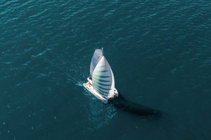 Lagoon 43 „Temporal Drift“ – fotka 3