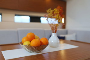 Hanse 460 „Perfect Stranger“ – fotka 18
