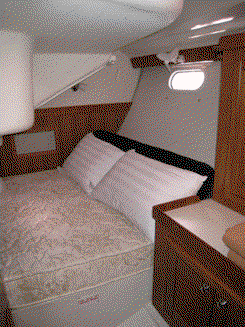 Catalina 350 „WAZABI“ – fotka 2