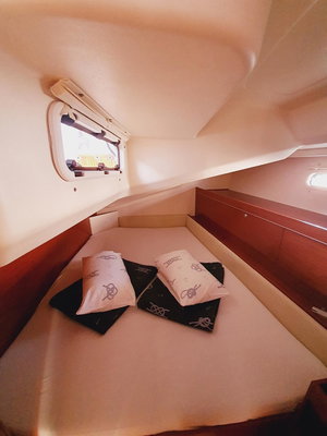 Hanse 505 „Skyline“ – fotka 17